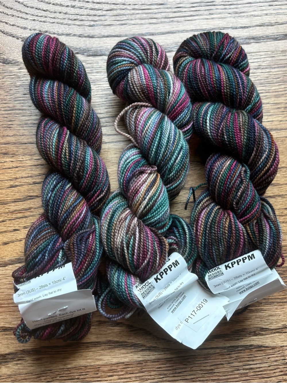 Koigu KPPPM Yarn Lot of 3 100% Merino Wool 175yd Variegated P117-0019 Multicolor